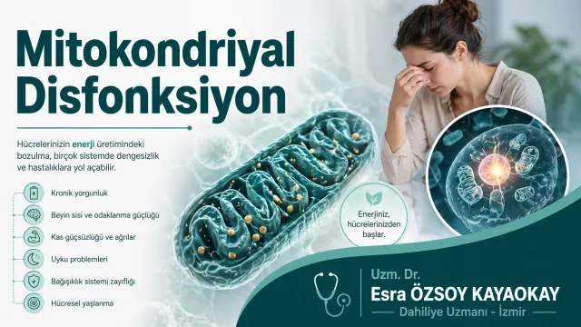 Mitokondriyal Disfonksiyon Nedir?
